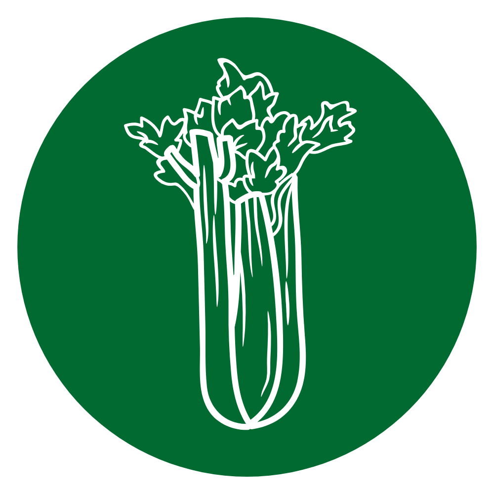 Sedano